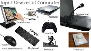 Computer Input Device in Hindi 1